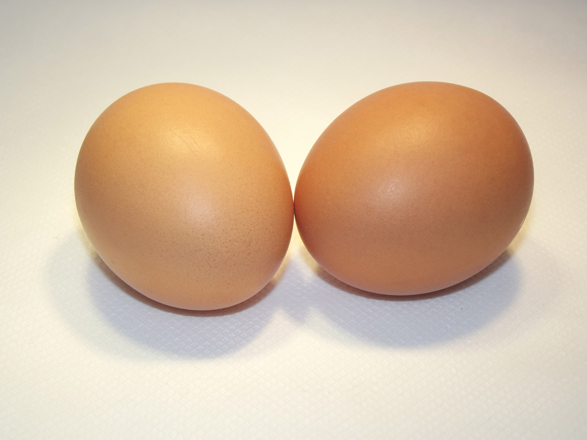 eggs